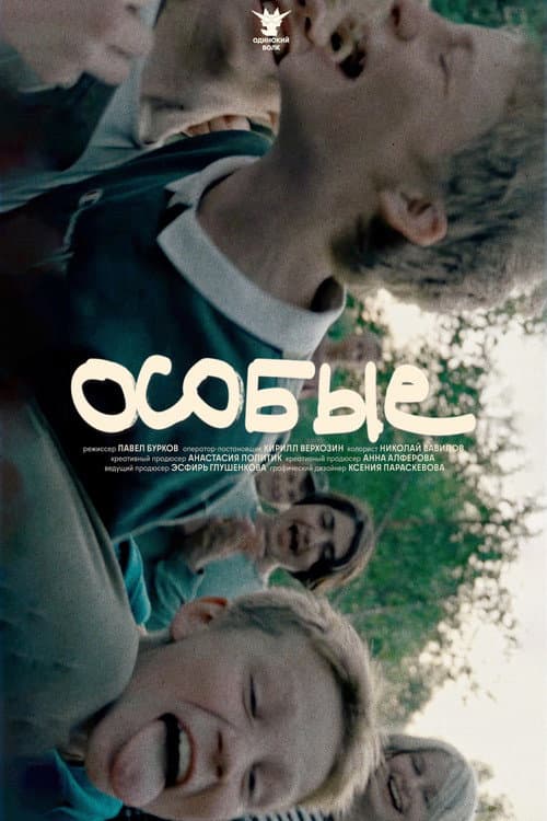 Poster for The Special Ones