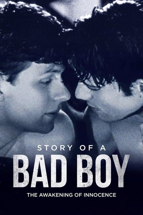 Poster for Story of a Bad Boy