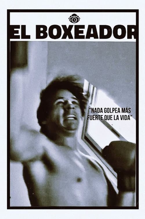Poster for The Boxer