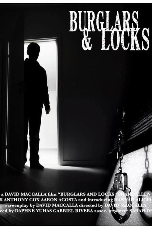 Poster for Burglars & Locks