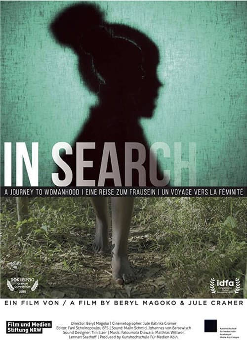 Poster for In Search...