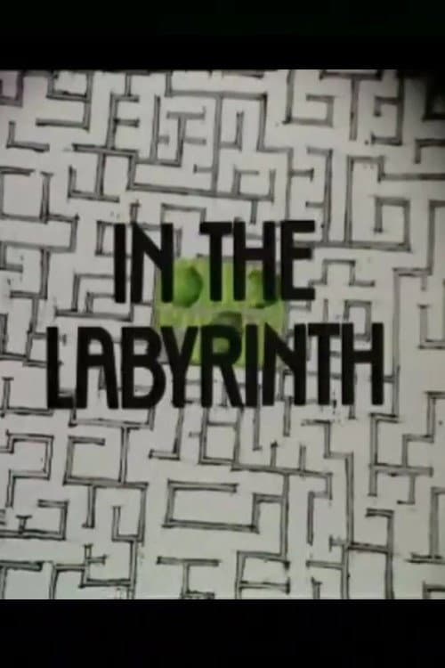 Poster for In the Labyrinth