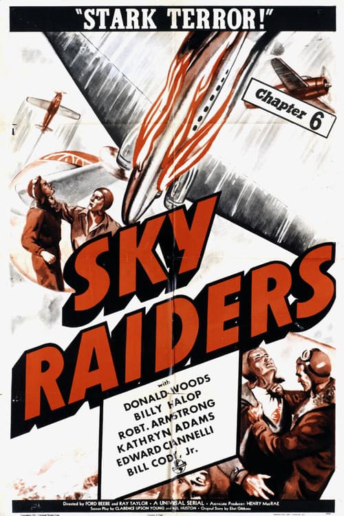 Poster for Sky Raiders