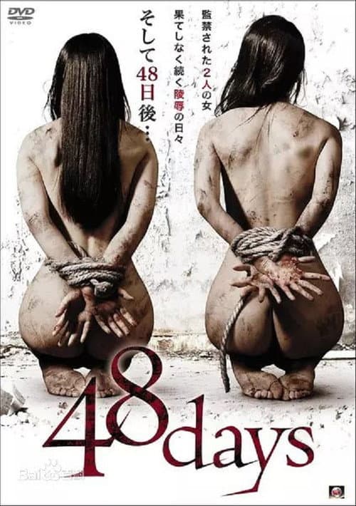 Poster for 48 Days