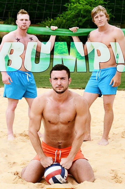 Poster for Bump!