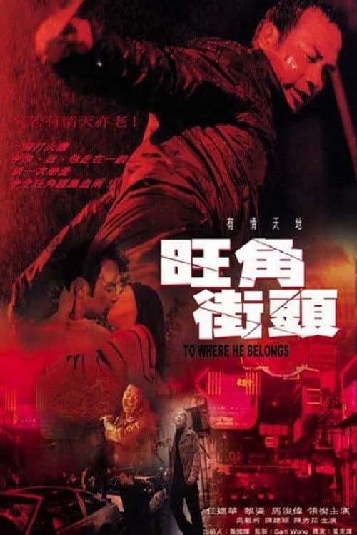 Poster for To Where He Belongs