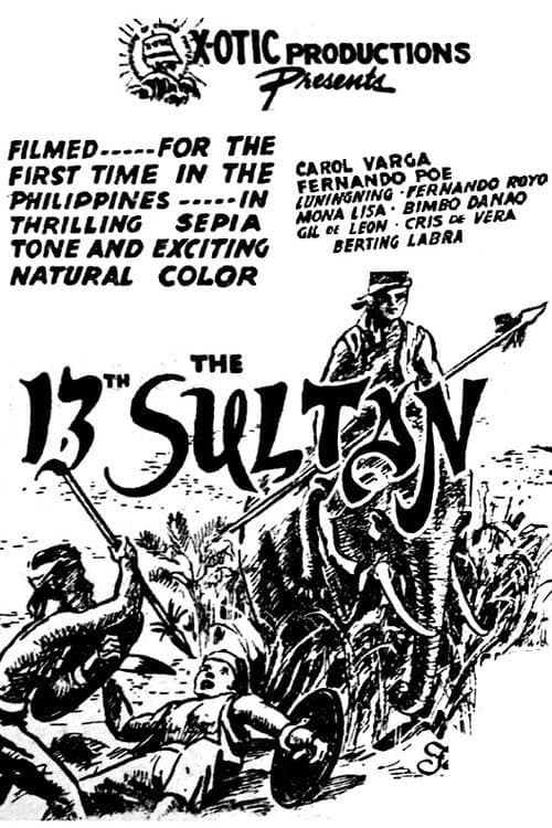 Poster for The 13th Sultan