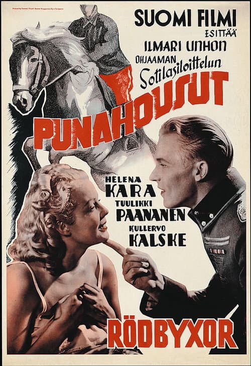 Poster for Punahousut