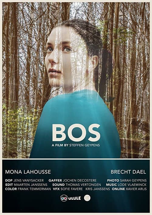 Poster for Bos