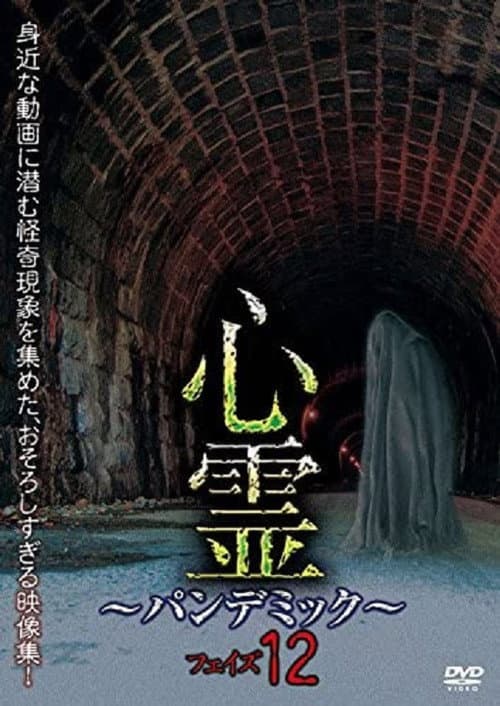 Poster for Spirit Pandemic Phase 12