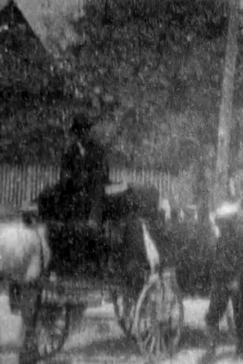 Poster for Burial of the 'Maine' Victims