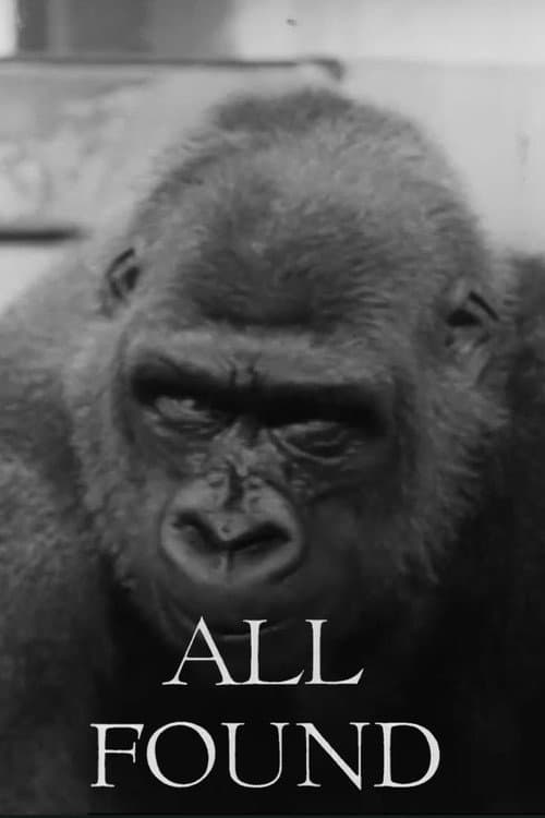 Poster for All Found