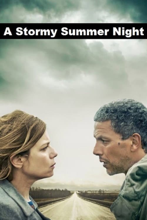 Poster for A Stormy Summer Night