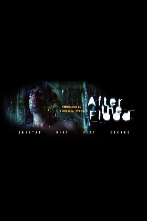 Poster for After the Flood