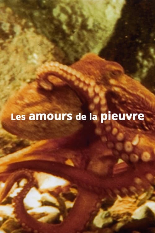 Poster for The Love Life of an Octopus