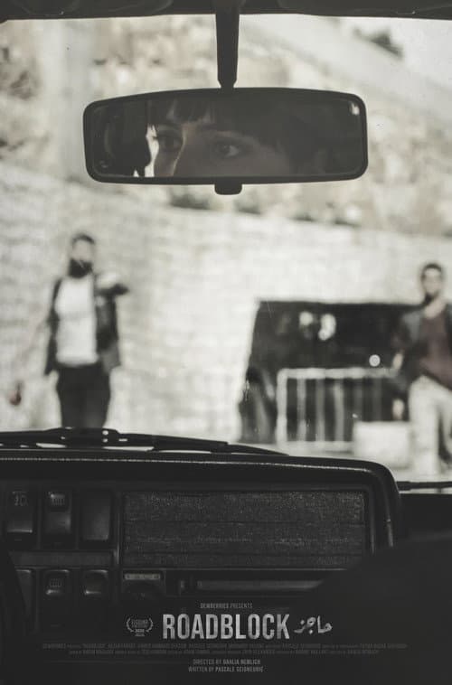 Poster for Roadblock
