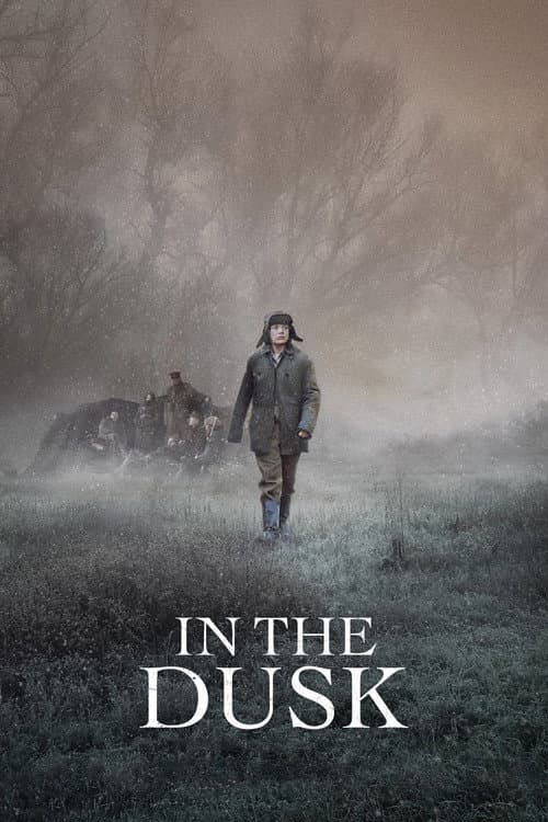 Poster for In the Dusk