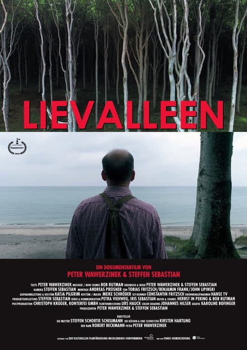 Poster for Lievalleen
