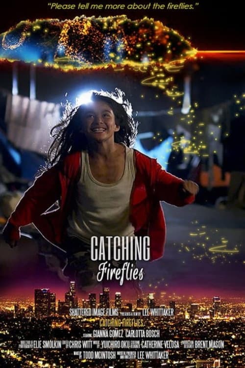 Poster for Catching Fireflies