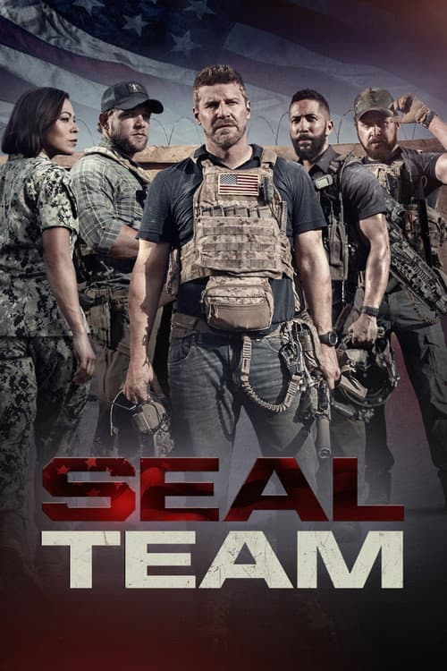 Poster for SEAL Team
