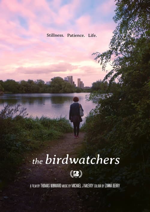 Poster for The Birdwatchers
