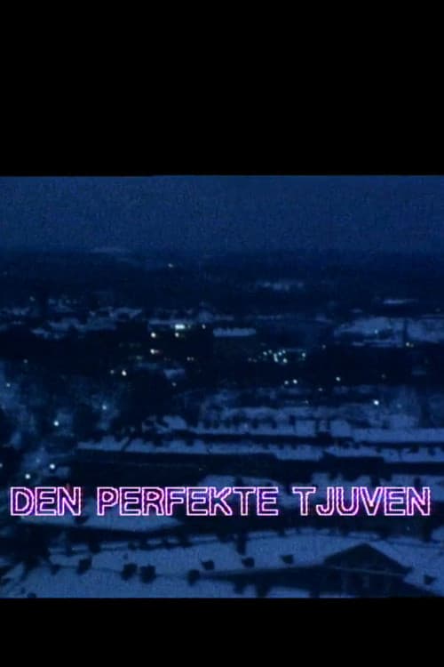 Poster for Den perfekte tjuven