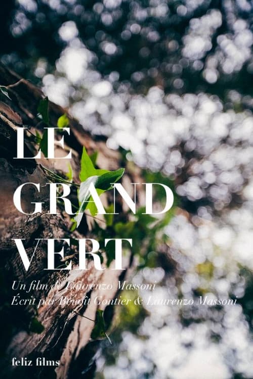Poster for Le grand vert