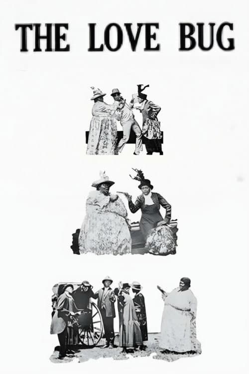 Poster for The Love Bug