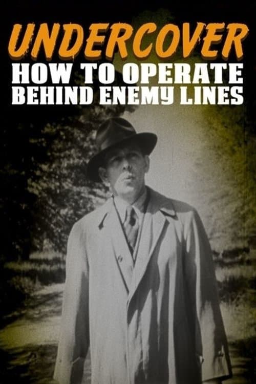 Poster for Undercover: How to Operate Behind Enemy Lines