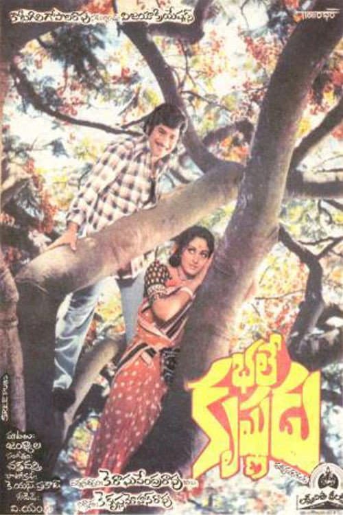 Poster for Bhale Krishnudu