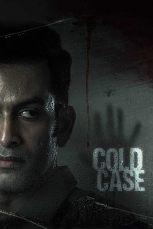 Poster for Cold Case