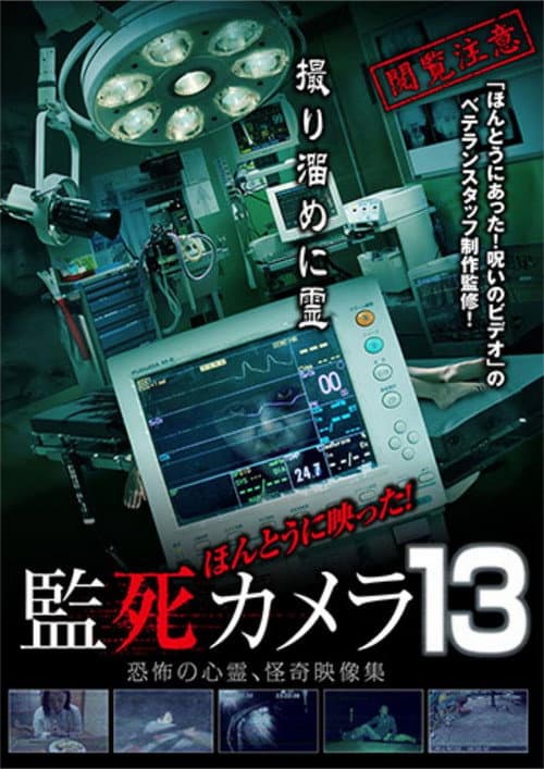 Poster for Paranormal Surveillance Camera 13