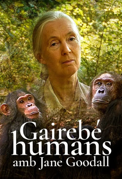 Poster for Almost Human with Jane Goodall