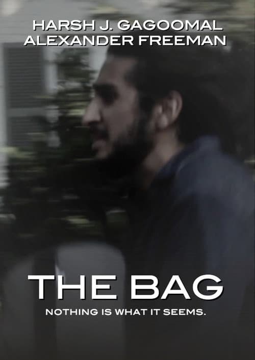Poster for The Bag