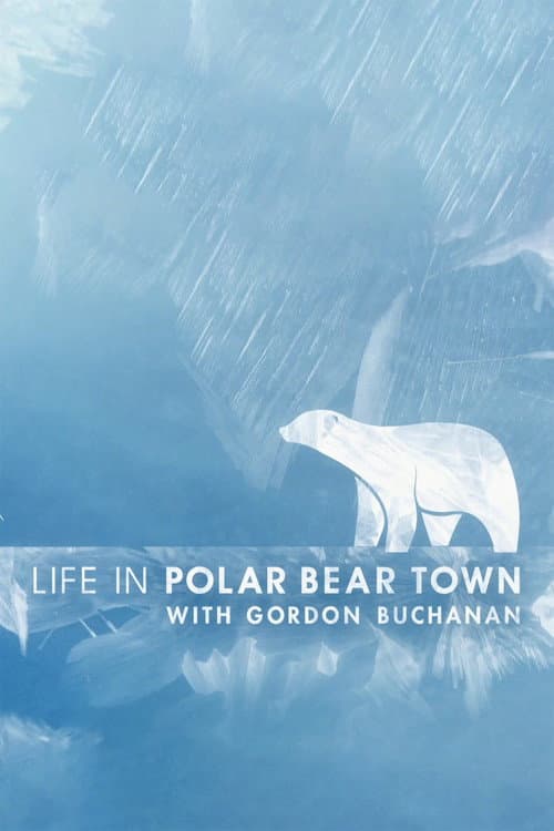 Poster for Life in Polar Bear Town with Gordon Buchanan
