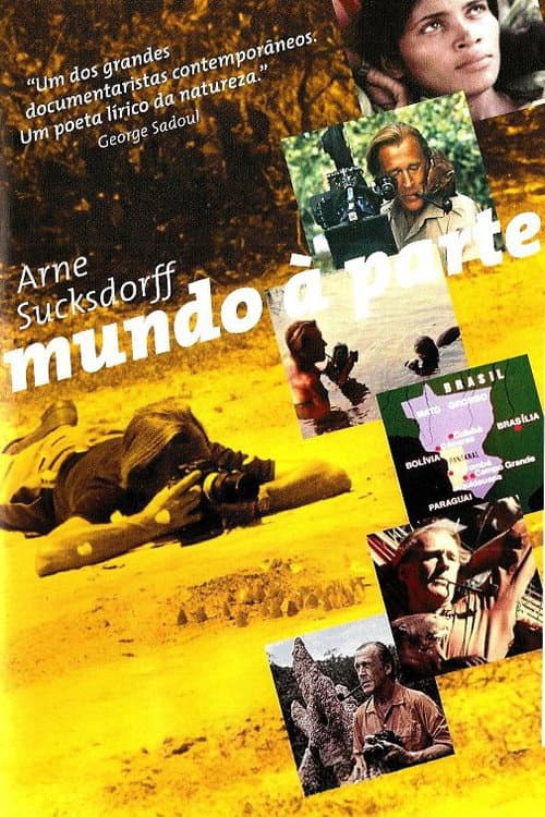 Poster for A World Apart