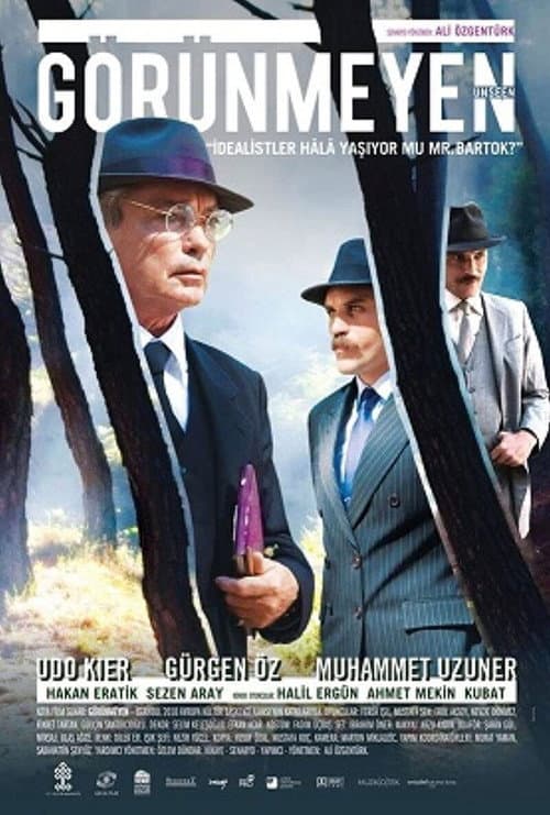 Poster for Görünmeyen