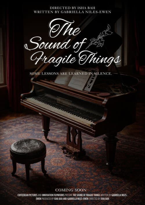 Poster for The Sound of Fragile Things