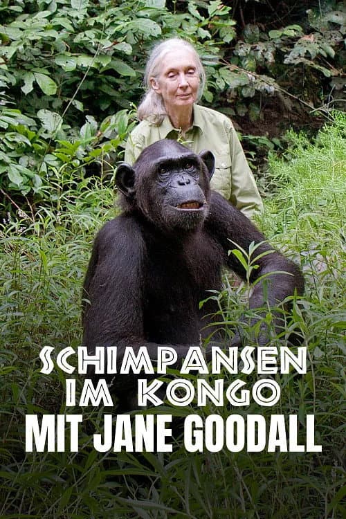 Poster for Schimpansen im Kongo mit Jane Goodall