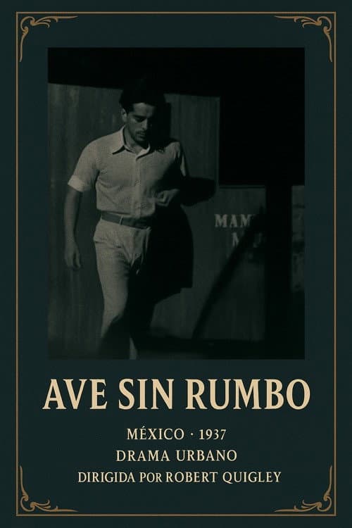 Poster for Ave sin rumbo