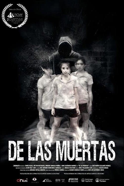 Poster for About the Deaths