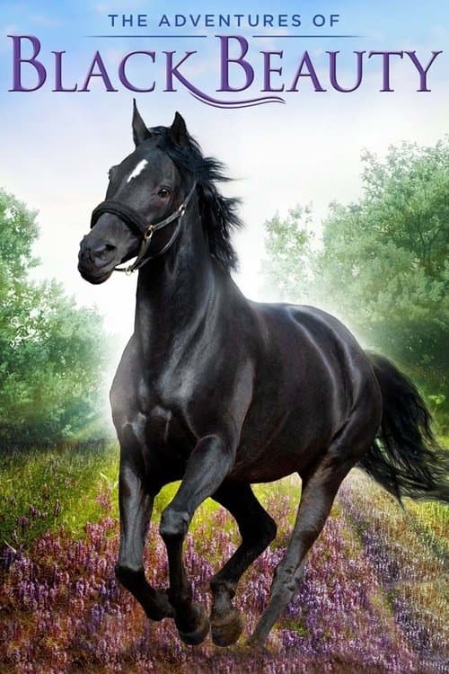 Poster for The Adventures of Black Beauty