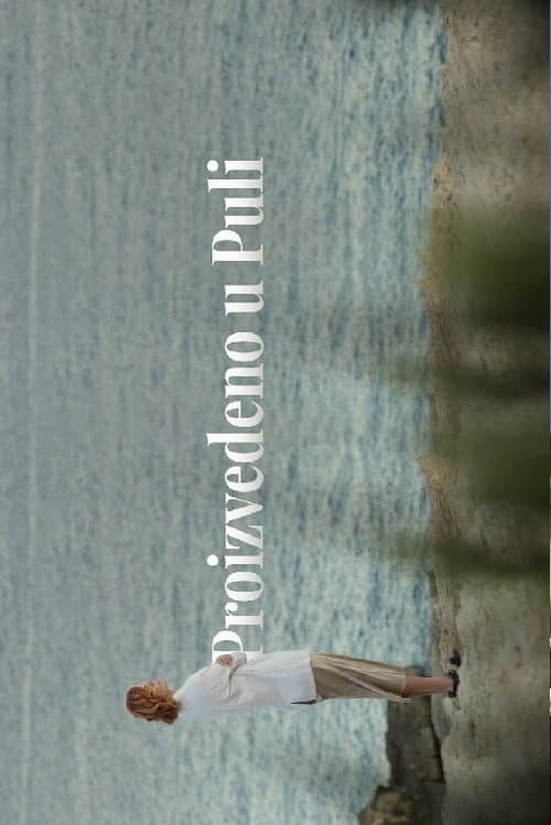 Poster for Made in Pula