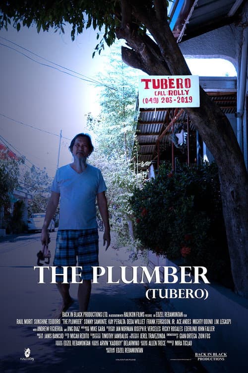 Poster for The Plumber