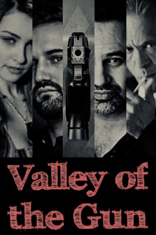 Poster for Valley of the Gun 2020