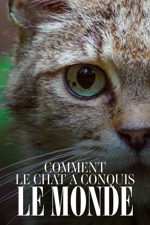 Poster for Comment le chat a conquis le monde