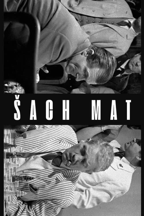 Poster for Šach mat