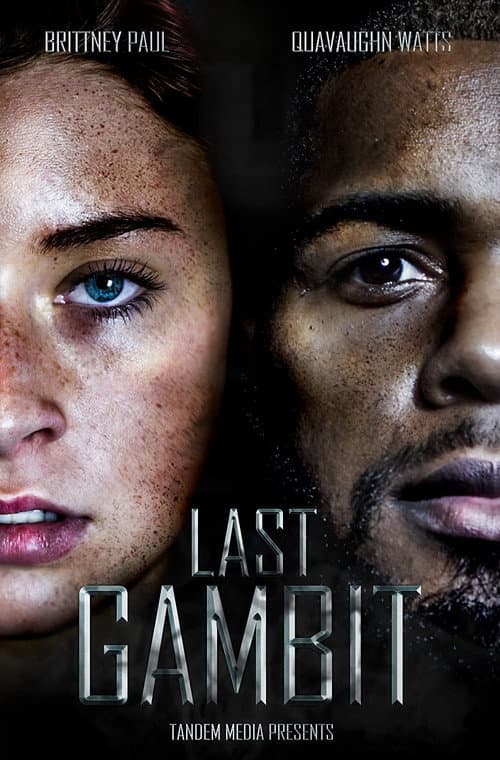 Poster for Last Gambit