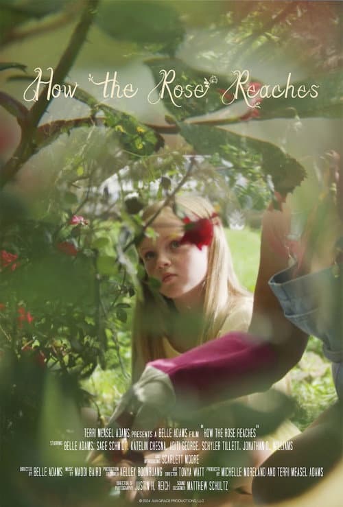 Poster for How the Rose Reaches