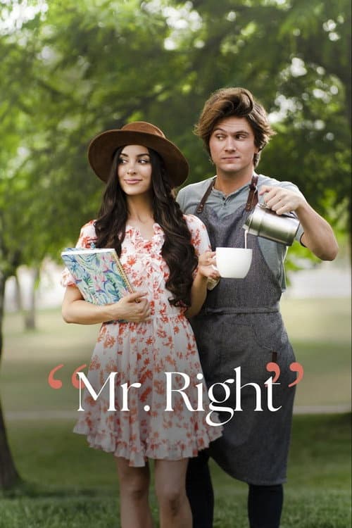 Poster for Mr. Right